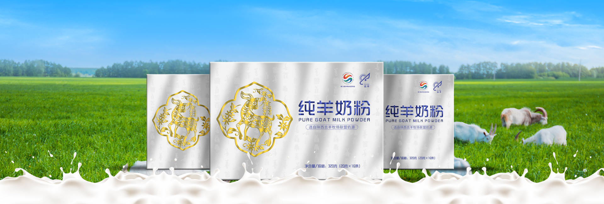 純粉照片